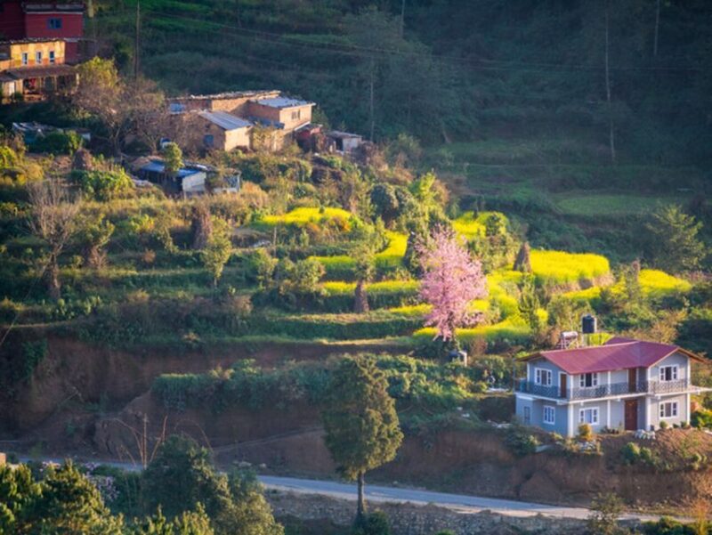 From Kathmandu: 5-Day Chisapani to Nagarkot Trek - Accommodation and Meals