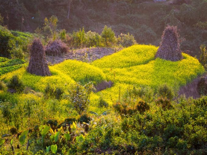 From Kathmandu: 5-Day Chisapani to Nagarkot Trek - Guide and Trekking Crew