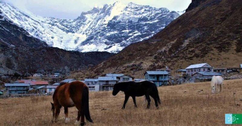 From Kathmandu: 5 Days Langtang Valley Nature Explore Trek - Itinerary Details