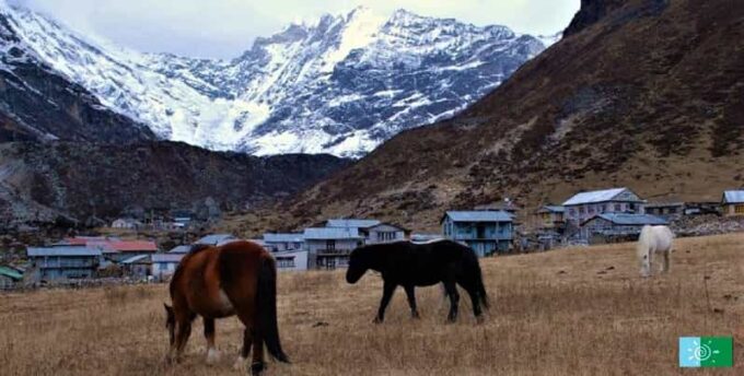From Kathmandu: 5 Days Langtang Valley Nature Explore Trek - Packing and Preparation