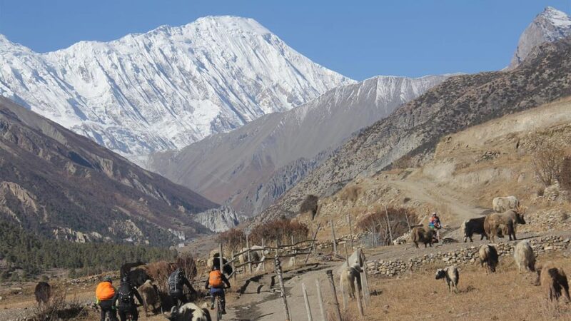 From Kathmandu : 5- Days Short Tilicho Lake Trek - Pricing and Booking