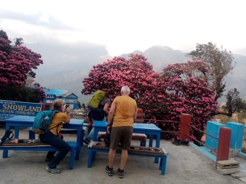 From Kathmandu: 6 Day Amazing 5 Hill Station Nature Trek - Inclusions and Exclusions