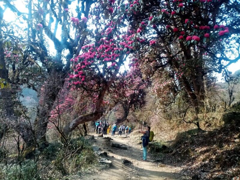 From Kathmandu: 6 Day Amazing 5 Hill Station Nature Trek - Suitability and Requirements