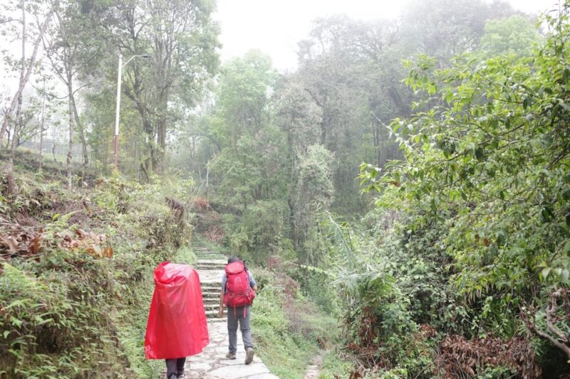 From Kathmandu: 8-Day Mardi Himal Trek With Transfers - Experience