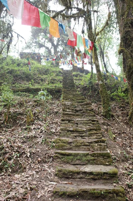 From Kathmandu: 8-Day Mardi Himal Trek With Transfers - Frequently Asked Questions