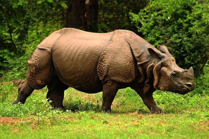 From Kathmandu: 8-Day Nepal Tour With Pokhara and Chitwan - Important Restrictions