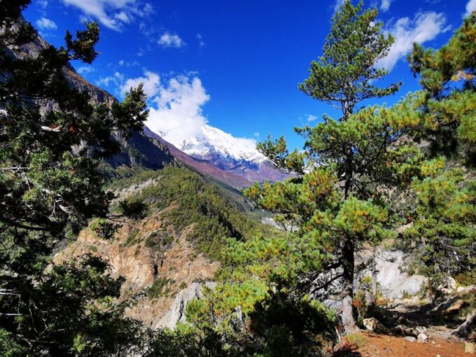 From Kathmandu: Annapurna Circuit Trek 15 Days - Return to Kathmandu