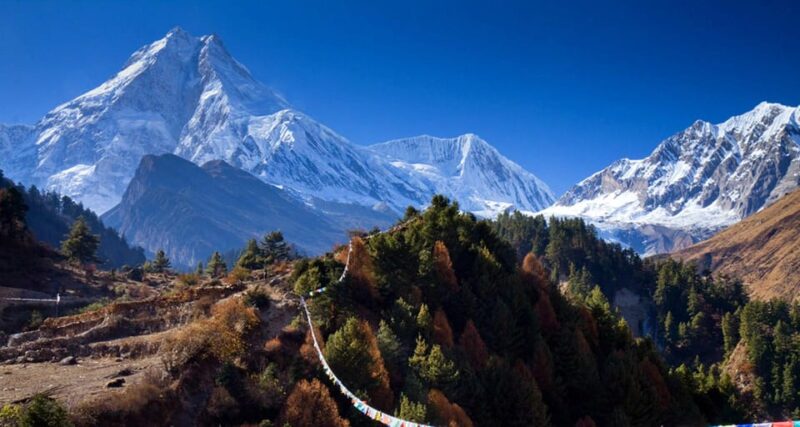 From Kathmandu : Budget 15 Days Manaslu Circuit Trek - Accommodation and Meals