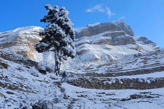 From Kathmandu Budget: 16 Day Annapurna Circuit Trek - Health and Safety Considerations