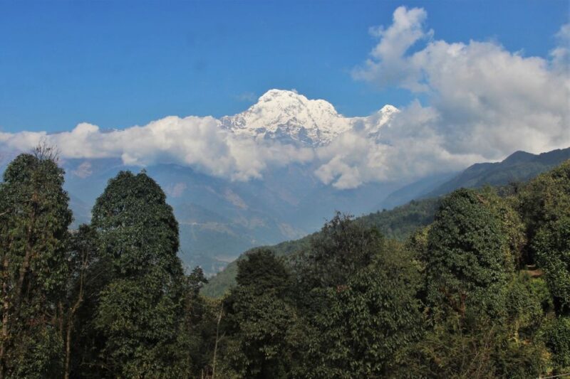 From Kathmandu :Budget 7 Night 8 Days Mardi Himal Trek - Best Seasons