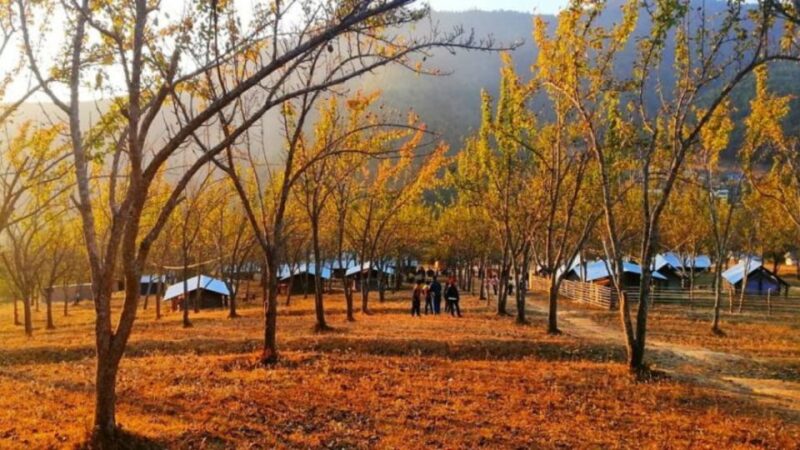 From Kathmandu: Chitlang, Kulekhani, and Markhu 2-Day Tour - Key Points