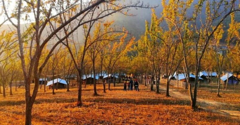 From Kathmandu: Chitlang, Kulekhani, and Markhu 2-Day Tour - Itinerary: Day 1