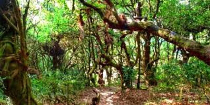 From Kathmandu: Joining Group Chandragiri Day Hiking Tour - Hiking Experience