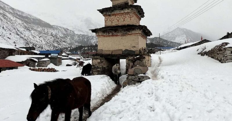 From Kathmandu: Manaslu Circuit Tea House Trek 11 Days - Physical Requirements