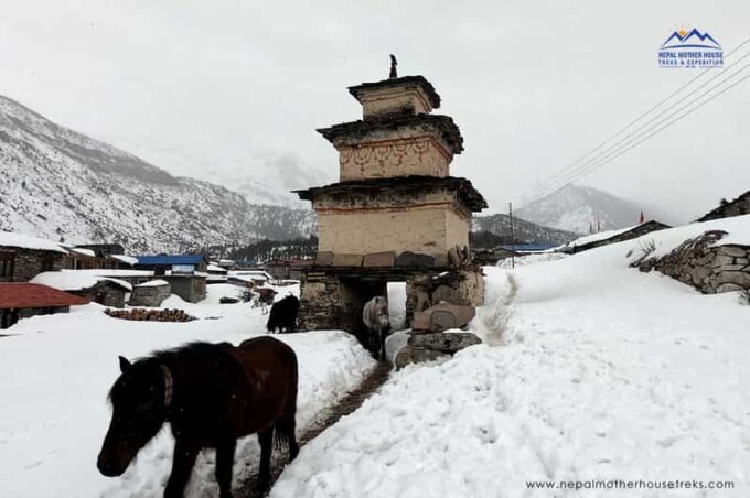 From Kathmandu: Manaslu Circuit Tea House Trek 11 Days - Frequently Asked Questions
