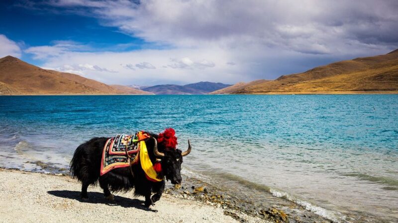 From Kathmandu: Multi-Day Tibet Highlights Trip - Guided Sightseeing in Lhasa