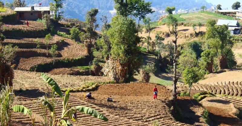 From Kathmandu: Nagarkot Sunrise and Changu Narayan Temple … - Key Highlights