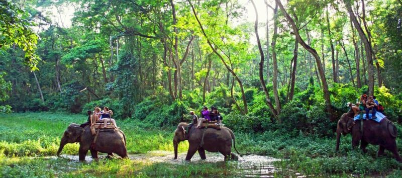 From Kathmandu or Pokhara: 1 N 2D Day Chitwan Wildlife Tour - Key Points