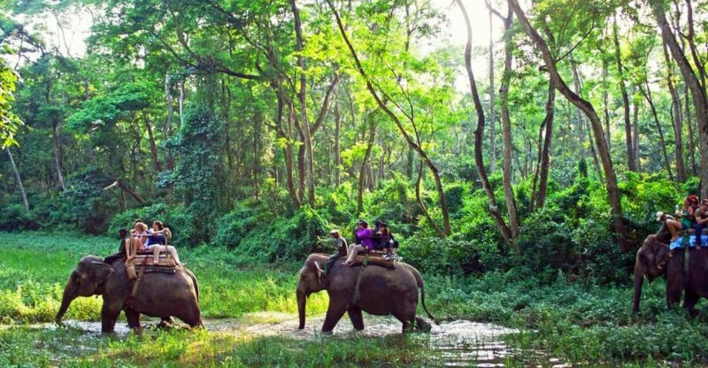 From Kathmandu or Pokhara: 1 N 2D Day Chitwan Wildlife Tour - Booking and Cancellation