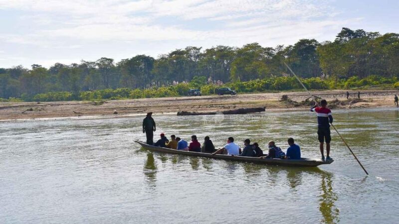 From Kathmandu or Pokhara: 3 Nights Chitwan Jungle Safari - Key Points