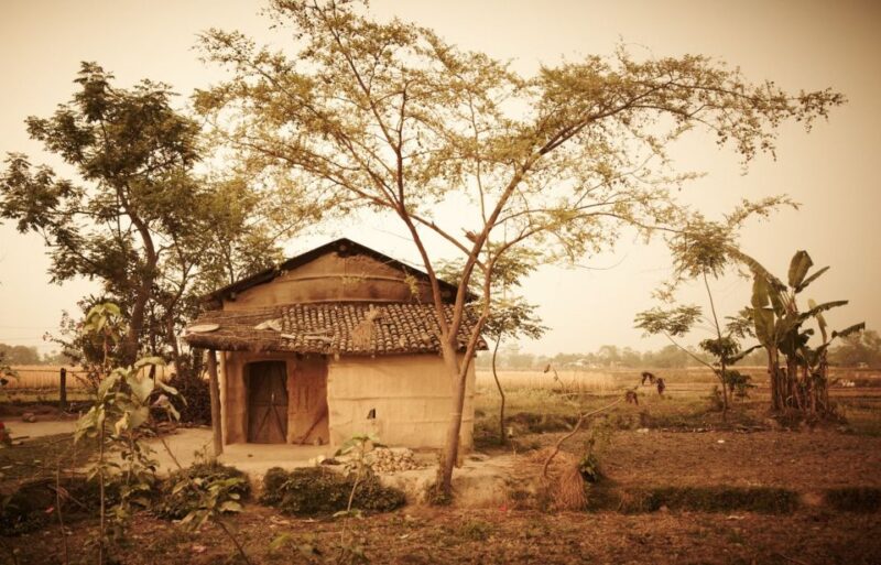 From Kathmandu or Pokhara: 3 Nights Chitwan Jungle Safari - Highlights of the Experience