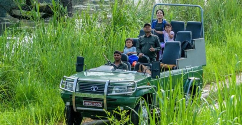 From Kathmandu or Pokhara: 3 Nights Chitwan Jungle Safari - Detailed Itinerary