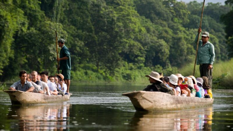 From Kathmandu or Pokhara: 3 Nights Chitwan Jungle Safari - Included in the Package