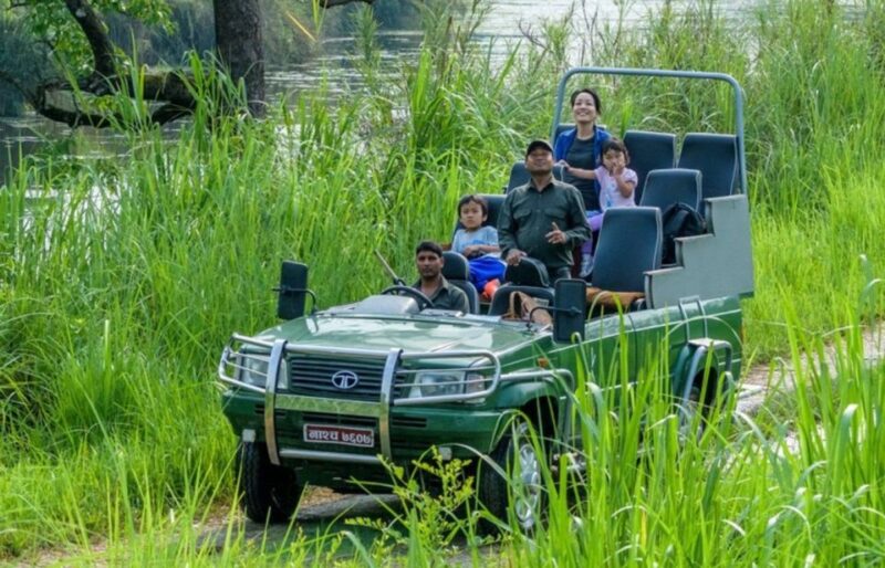 From Kathmandu or Pokhara: 3 Nights Chitwan Jungle Safari - Arrival and Departure Logistics