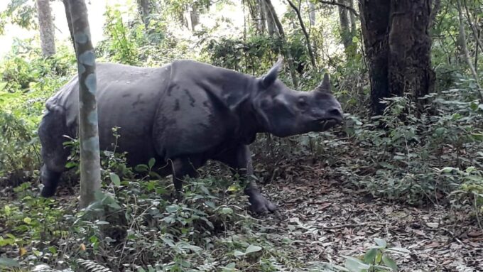 From Kathmandu or Pokhara: 4-Day Chitwan National Park Tour - Included Amenities