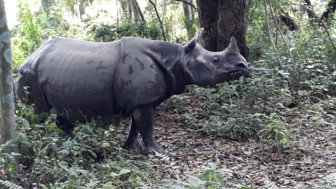From Kathmandu or Pokhara: 4-Day Chitwan National Park Tour - Frequently Asked Questions