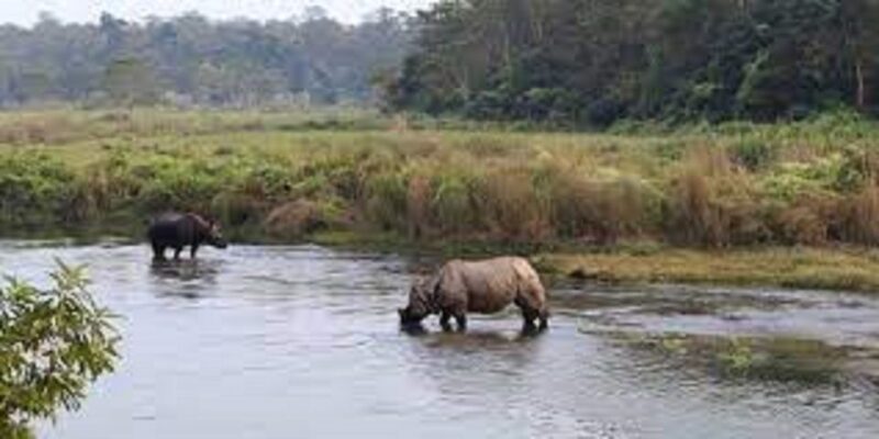 From Kathmandu or Pokhara:Luxury 4 Day Chitwan Tour Package - Inclusions and Transportation