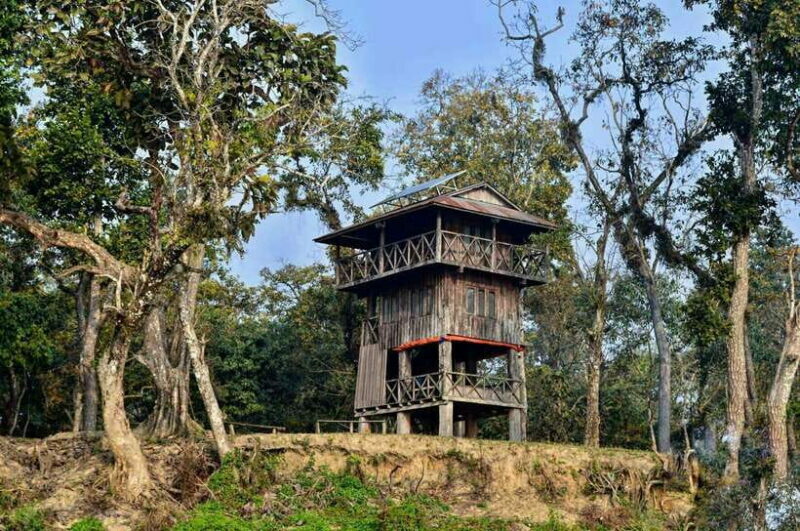 From Kathmandu/Pokhara: 2, 3, or 4-Day Chitwan Jungle Safari - Getting Started: The Journey to Chitwan
