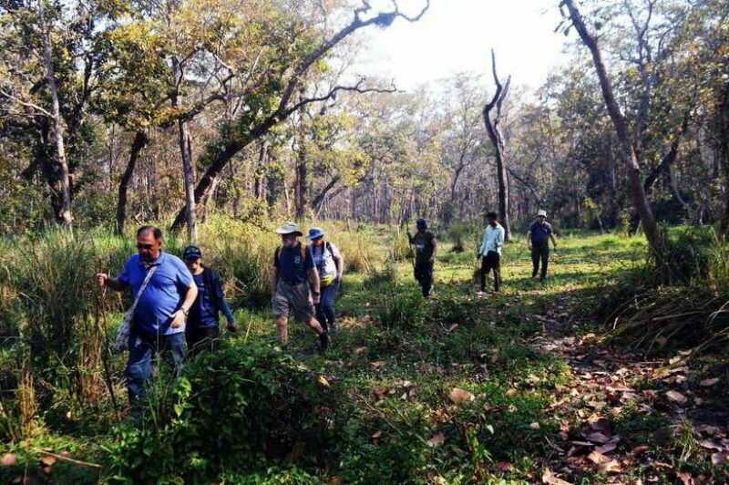 From Kathmandu/Pokhara: 2, 3, or 4-Day Chitwan Jungle Safari - Deep Into the Jungle: Safari Highlights