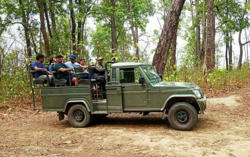 From Kathmandu/Pokhara: 2, 3, or 4-Day Chitwan Jungle Safari - Unique Experiences: Night in the Jungle Tower