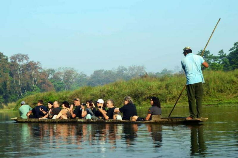 From Kathmandu/Pokhara: 2, 3, or 4-Day Chitwan Jungle Safari - Comfort and Accommodation