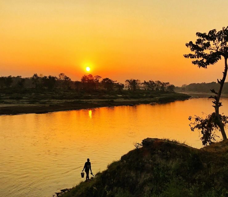 From Kathmandu/Pokhara: 3 Day All-Inclusive Chitwan Safari - Key Points