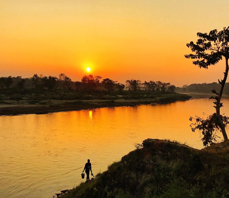 From Kathmandu/Pokhara: 3 Day All-Inclusive Chitwan Safari - Itinerary Highlights