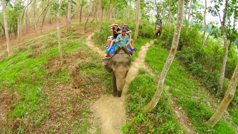 From Kathmandu/Pokhara: 3 Day All-Inclusive Chitwan Safari - Included in the Tour