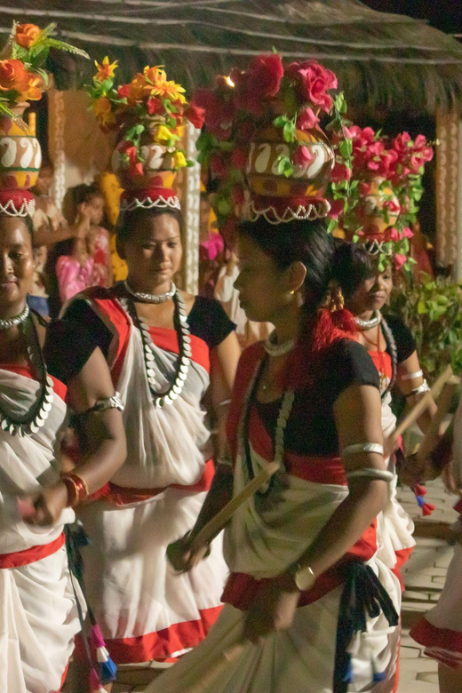 From Kathmandu / Pokhara: 3:Day All Inclusive Chitwan Safari - Daily Itinerary: Day 3