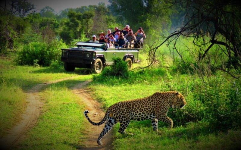 From Kathmandu/Pokhara: Private 3-Day Chitwan Safari Tour - Wildlife Experience and Activities