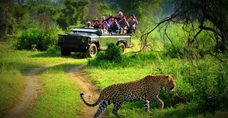From Kathmandu/Pokhara: Private 3-Day Chitwan Safari Tour - Daily Itinerary
