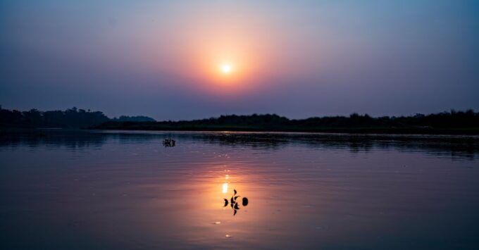 From Kathmandu/Pokhara: Private 3-Day Chitwan Safari Tour - Customer Feedback