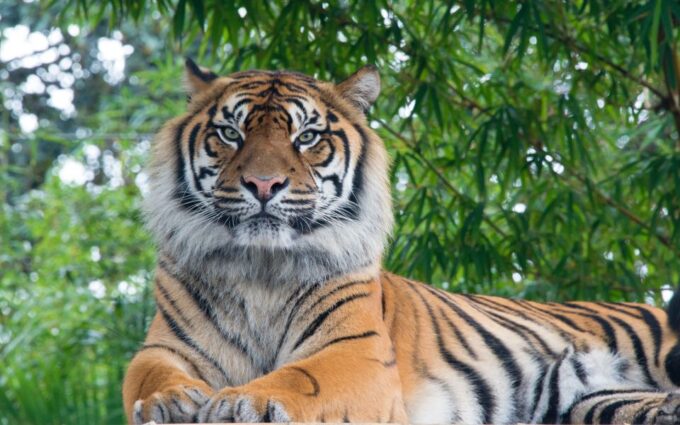 From Kathmandu/Pokhara: Private 3-Day Chitwan Safari Tour - Frequently Asked Questions