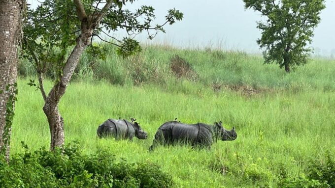 From Kathmandu to Chitwan: Jungle Safari + Meals & Transport - Additional Information and Exclusions