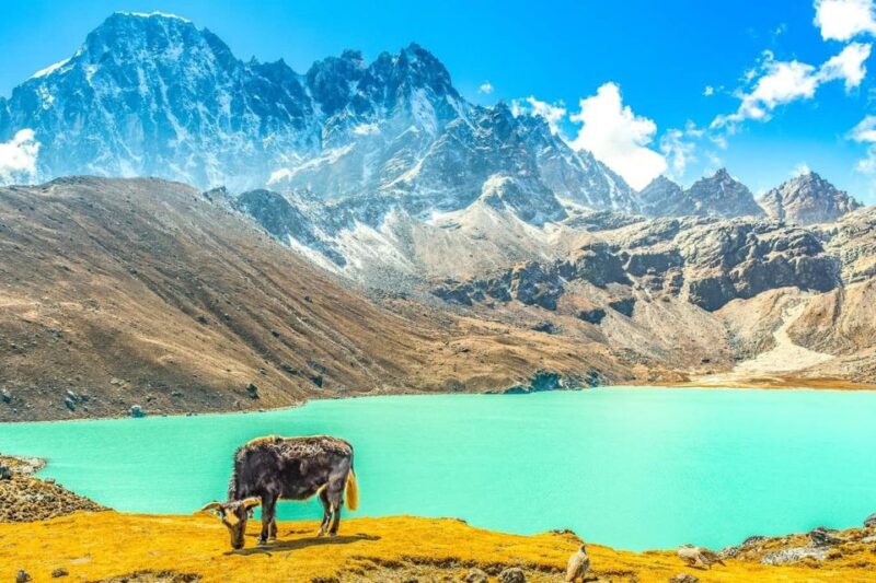 From Katmandu: 15-DAY Gokyo Valley Trek With Porter - Key Points