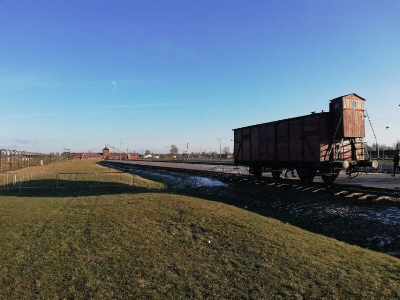 From Katowice: Auschwitz-Birkenau Skip-the-Line Guided Tour - Experience and Highlights