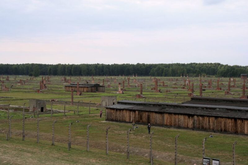 From Katowice: Auschwitz-Birkenau Skip-the-Line Guided Tour - Inclusions and Accessibility