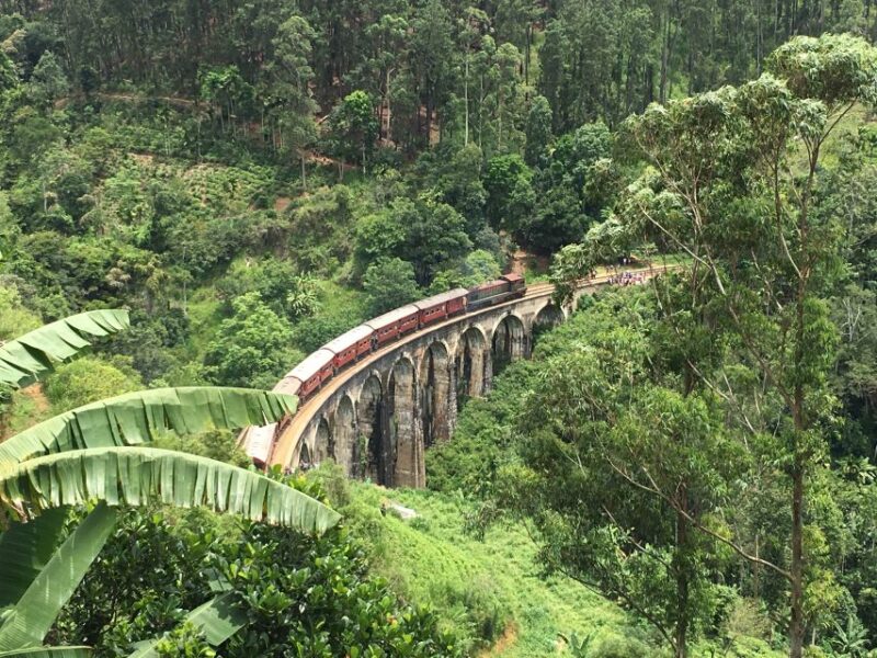 From Katunayake Airport: 8-Day Beauty of Sri Lanka Tour - Accommodation and Meals