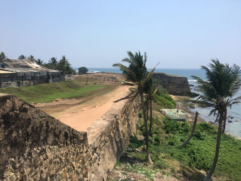 From Katunayake Airport: 8-Day Beauty of Sri Lanka Tour - Transportation and Guide Services