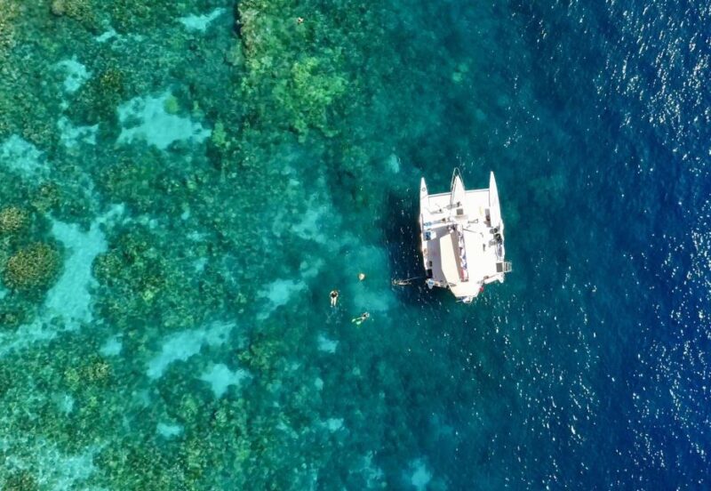 From Keauhou Bay: Snorkel Cruise to Captain Cooks Monument - Customer Ratings and Feedback